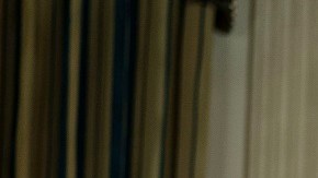 La Administración Biden-Harris abierta a que haya un "cheque dirigido".