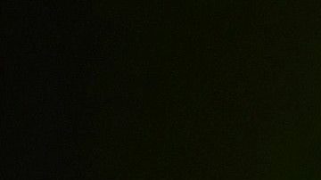 El hombre tenía un cocodrilo de más de un metro en su casa.