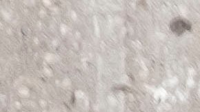 La vidente augura que la situación en México colapsará.