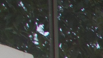 Piscina Kike Plancarte