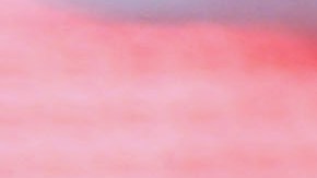 El holandés en México