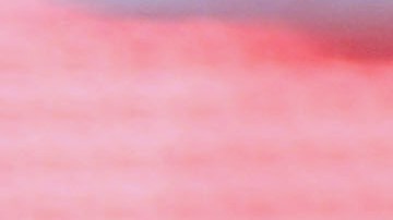 El holandés en México