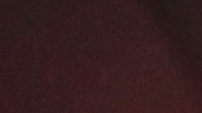 Luis Coronel es un exitoso cantante del género regional mexicano.