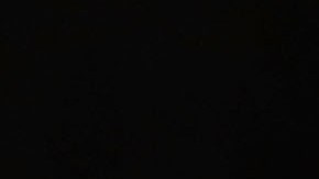 Eric y Donald Trump Jr.