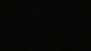 Eric y Donald Trump Jr.