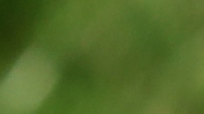 Balón de la Premier League