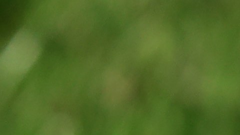 Balón de la Premier League