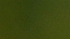 Dayanara Torres venció al cáncer el año pasado, pero su sistema inmunológico aún es vulnerable a cualquier virus.