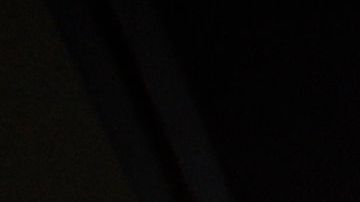 Murciélago o pangolin, las hipótesis del origen del coronavirus, según la OMS