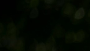 Portestas libertad centros de detención de ICE