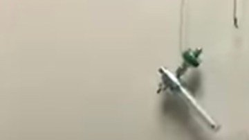 María Antonieta Collins