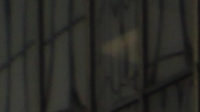 Manifestantes desde el centro de LA.