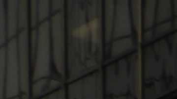 Manifestantes desde el centro de LA.