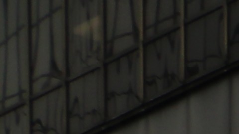 Manifestantes desde el centro de LA.