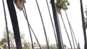 Las personas sin hogar ya llevaban más de un año viviendo en Echo Park.