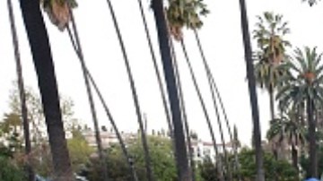 Las personas sin hogar ya llevaban más de un año viviendo en Echo Park.