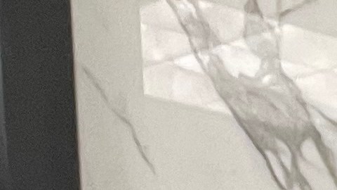 Juan Carlos Espinoza García recibe su tarjeta de residencia tras tres años de Visa U. (Cortesía Paulina Herrera)