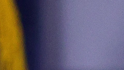 La secretaria de prensa, Jen Psaki, en conferencia de prensa en la Casa Blanca