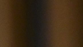 Joe Biden y Kamala Harris en la Casa Blanca