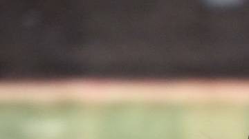 Ricardo González "Cepillín".