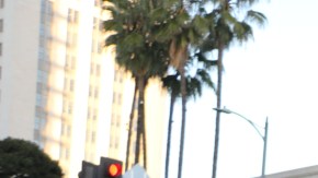 Familias marchan en el centro de LA.