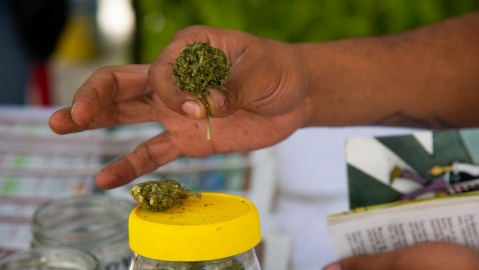Marihuana en México