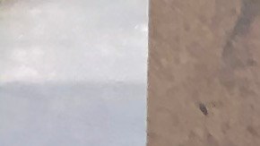 Pintura con la imagen de Martín Vargas. (Cortesía Margaret Hellerstein)