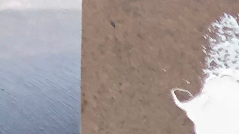 Pintura con la imagen de Martín Vargas. (Cortesía Margaret Hellerstein)