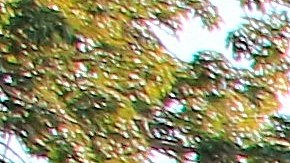 México amplió los retenes de inmigrantes en su frontera sur.