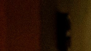 Los turistas en Miami lo pasan como si no hubiera pandemia.