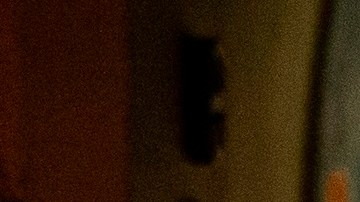 Los turistas en Miami lo pasan como si no hubiera pandemia.