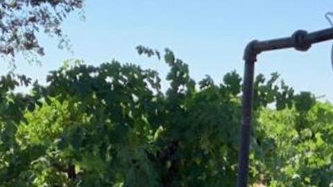 José Hernández, de astronauta a productor de vinos. (Cortesía José Hernández)