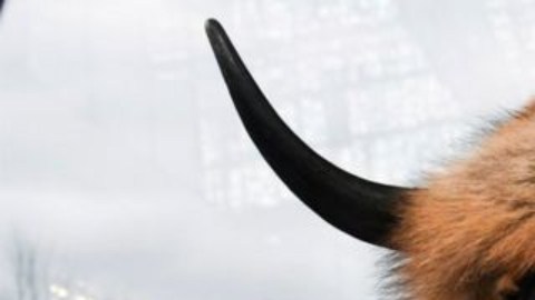 Jacob Anthony Chansley, más conocido como "Q Shaman", ha sido condenado por los disturbios en el Capitolio.