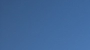 Miembros de la Coalición por los Derechos Humanos de los Inmigrantes (CHIRLA) participan en una caravana por todo el país en demanda por una reforma migratoria. (Coto Cortesía CHIRLA).