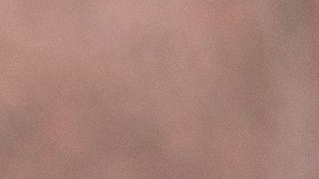 Portesta para rentas gratis