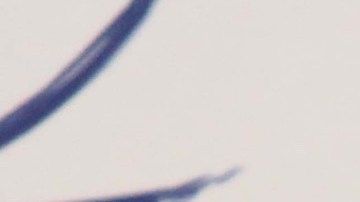 Roberto Sandoval y el Mencho