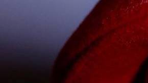 Ricardo González, “Cepillín“.