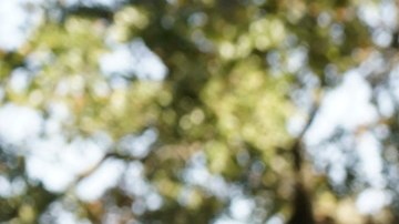 Smithworks-Blake-Shelton