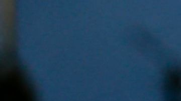 Venezolanos en Miami agradecen a Biden por concederles el TPS en 2021.