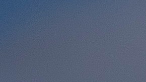 Protesta TPS en Washington