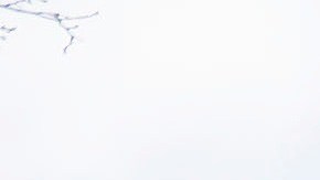 Personas rinden homenaje a los fallecidos en el tiroteo en Boulder, Colorado.