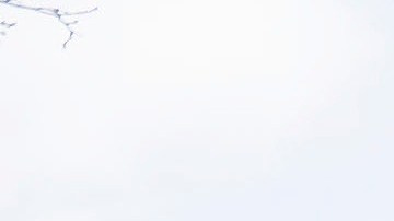 Personas rinden homenaje a los fallecidos en el tiroteo en Boulder, Colorado.