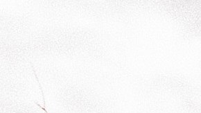 Los tornados causaron graves daños en áreas de Alabama.