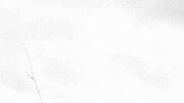 Los tornados causaron graves daños en áreas de Alabama.