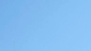 Trabajadores agrícolas en California