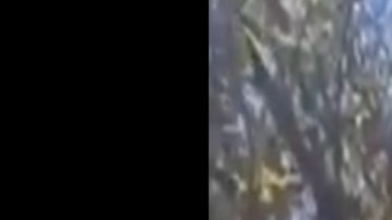 VIDEO: Narcos del Cártel de Sinaloa se exhiben en enfrentamiento en Triángulo Dorado