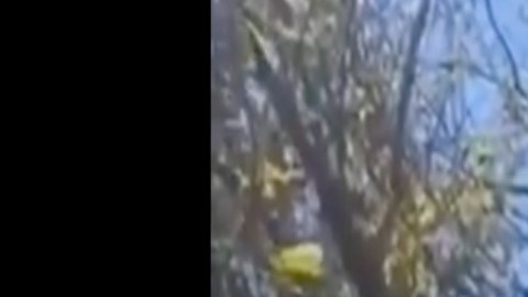 VIDEO: Narcos del Cártel de Sinaloa se exhiben en enfrentamiento en Triángulo Dorado