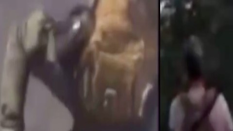 VIDEOS: Cártel de Sinaloa y CJNG se enfrentan brutalmente en Triángulo Dorado