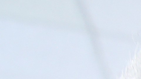 La vacunación para estas personas será completamente gratuita.