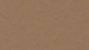 Nevada sobrepasó 1 millón de vacunas COVID-19.